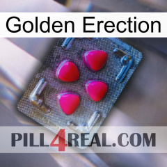 Golden Erection 13